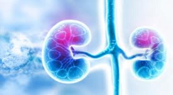 Renal Failure Symptoms, Causes and Diagnosis