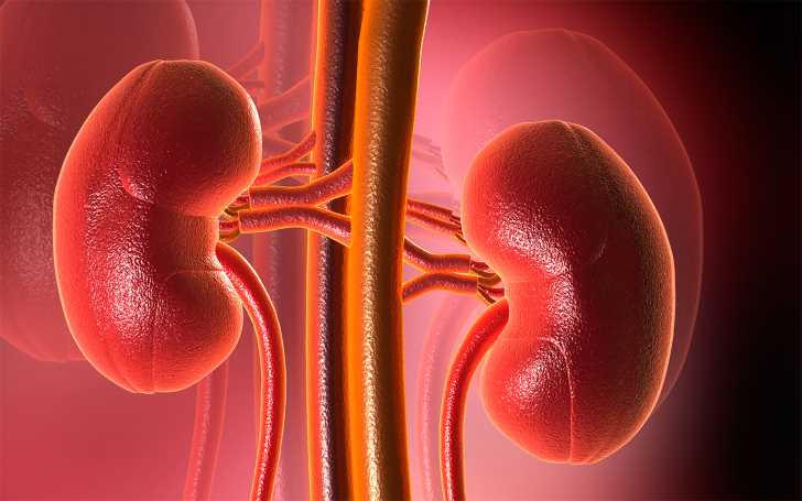 Glomerulonephritis Symptoms, Signs and Causes
