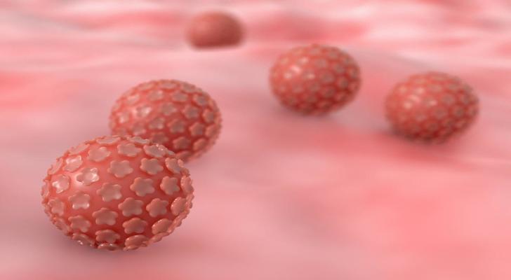 Human Papillomavirus Symptoms, Causes and Prevention (HPV)