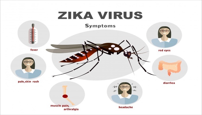 Zika Virus Symptoms, Signs and Facts
